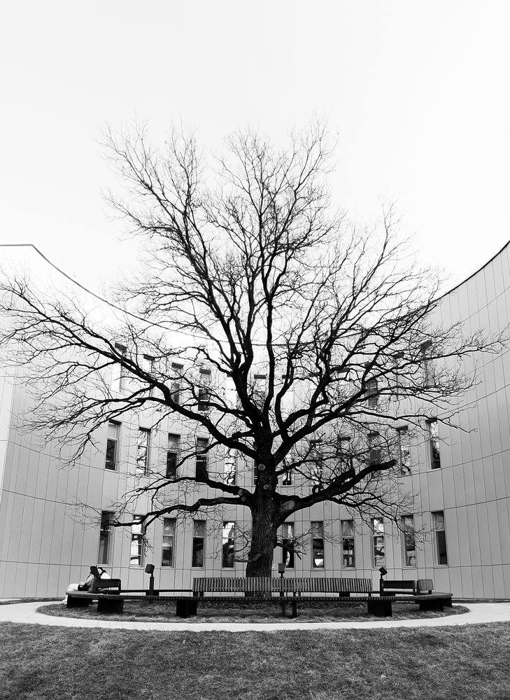 Фотография автора Anna