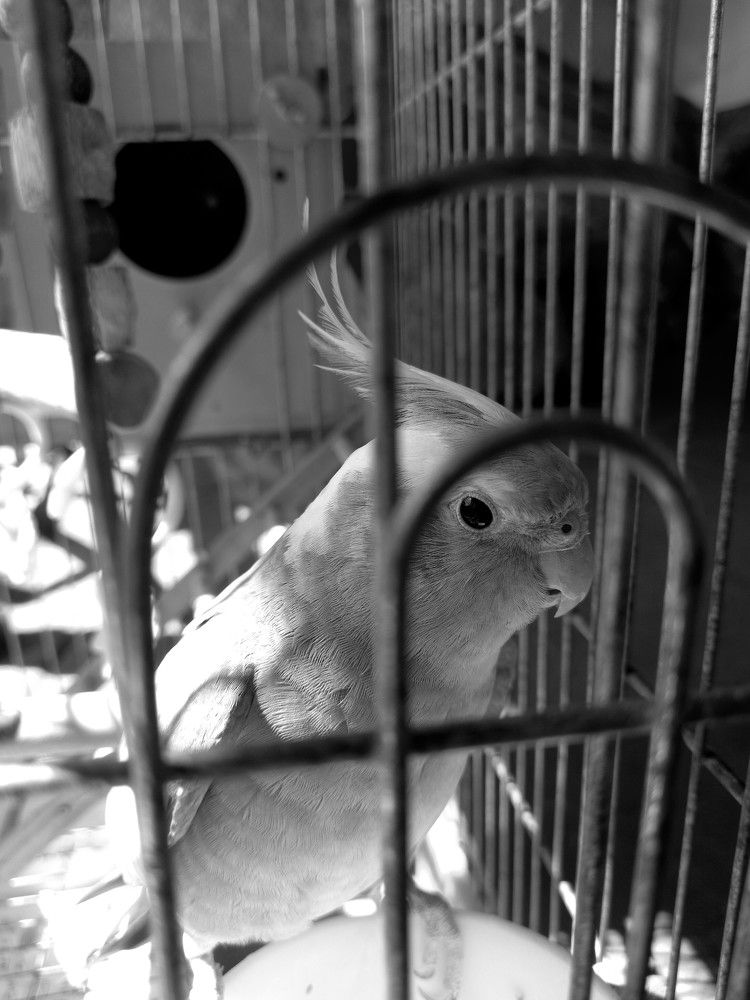 Photograph by Hadi hadipour