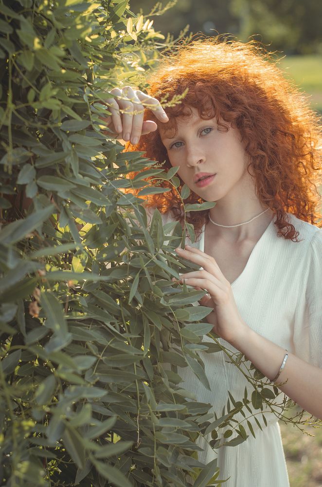 Фотография автора Oleksandr Shatyrov