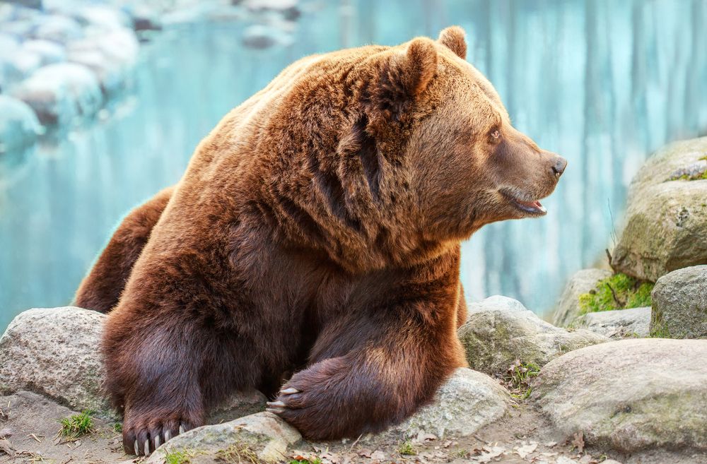 Photograph by Анна Малютина