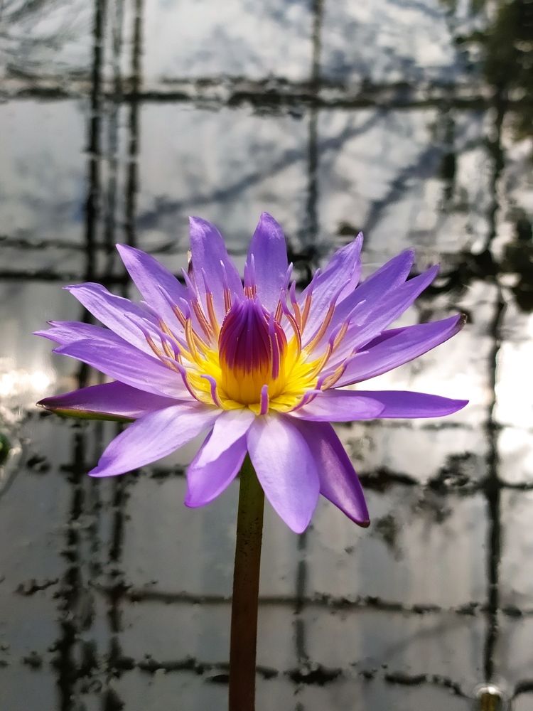 Photograph by Tatiana