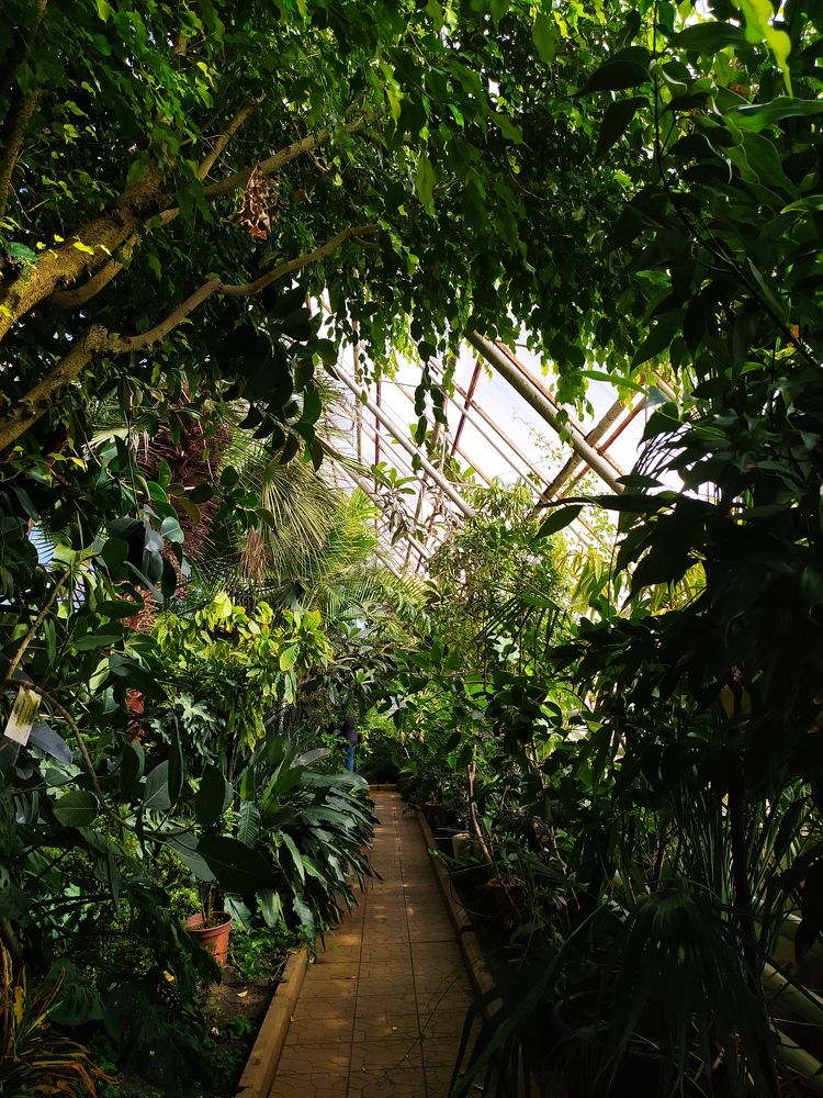 Photograph by Tatiana