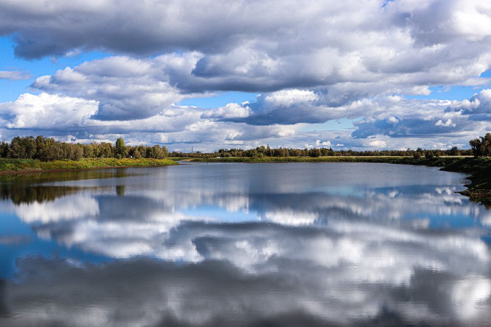Фотография автора Елена