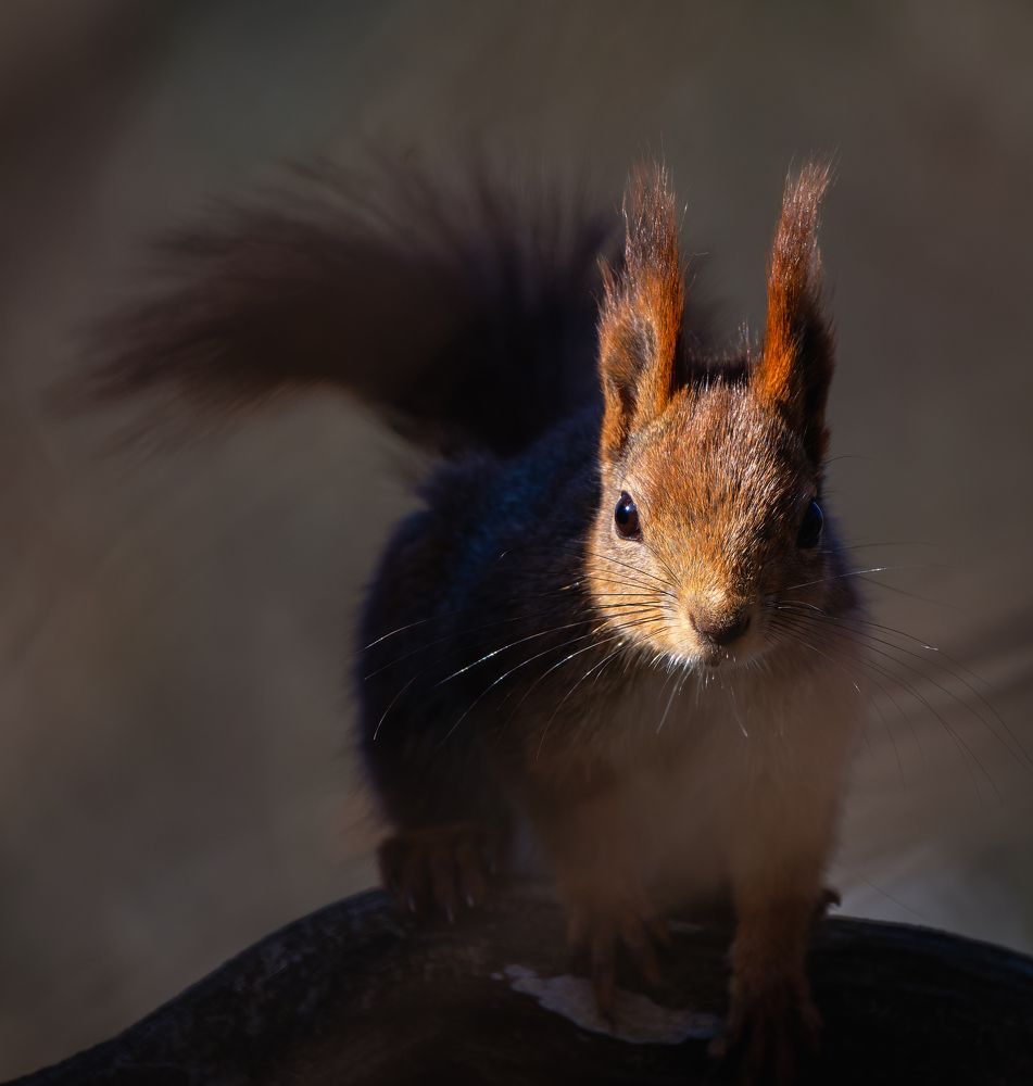 Photograph by Nikolai Mihhailov