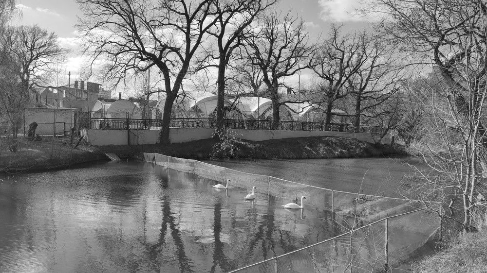 Photograph by Karina Yakovleva