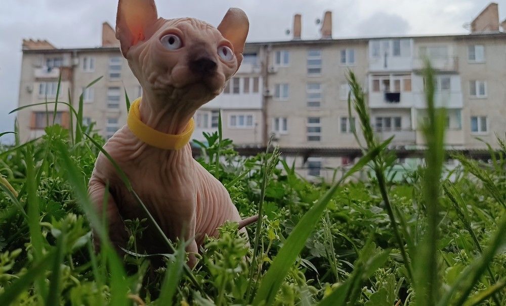 Фотография автора Галина Бывшева
