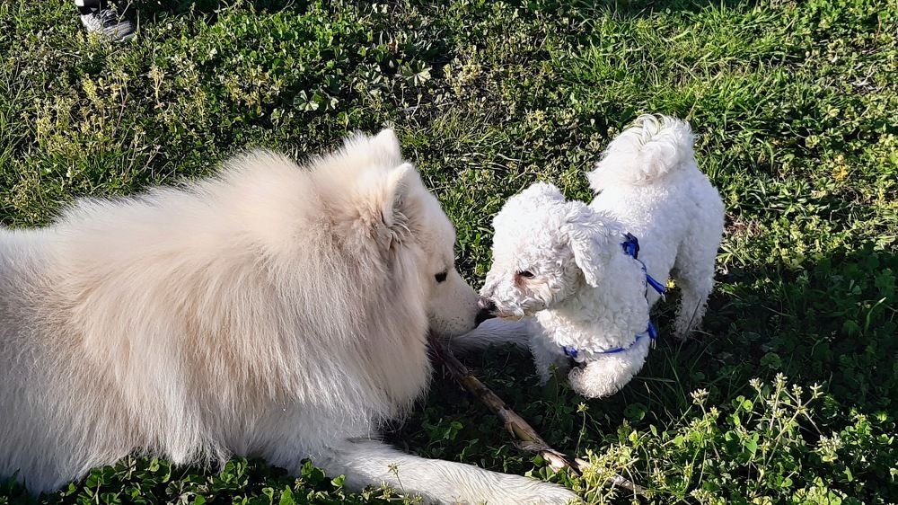 Photograph by Suzana Cakciri