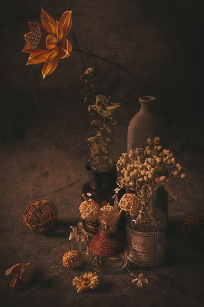 Photograph by Дарья