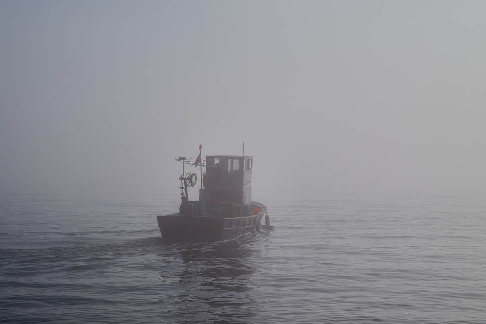 Photograph by Дмитрий Солодухин