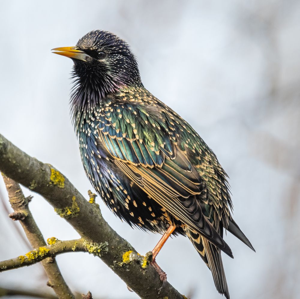 Photograph by Курлянцев Алексей