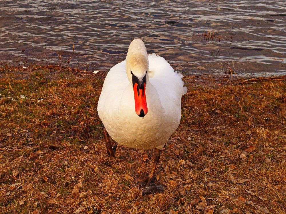 Photograph by Валерий Талейко