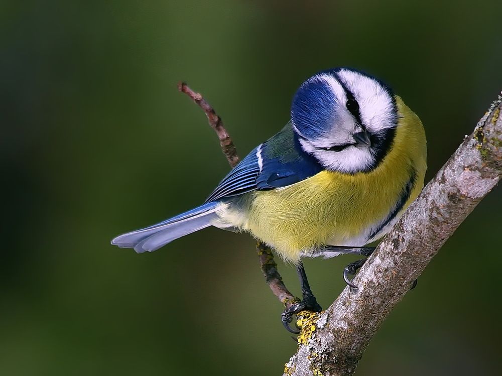 Photograph by Игорь Чеботарёв