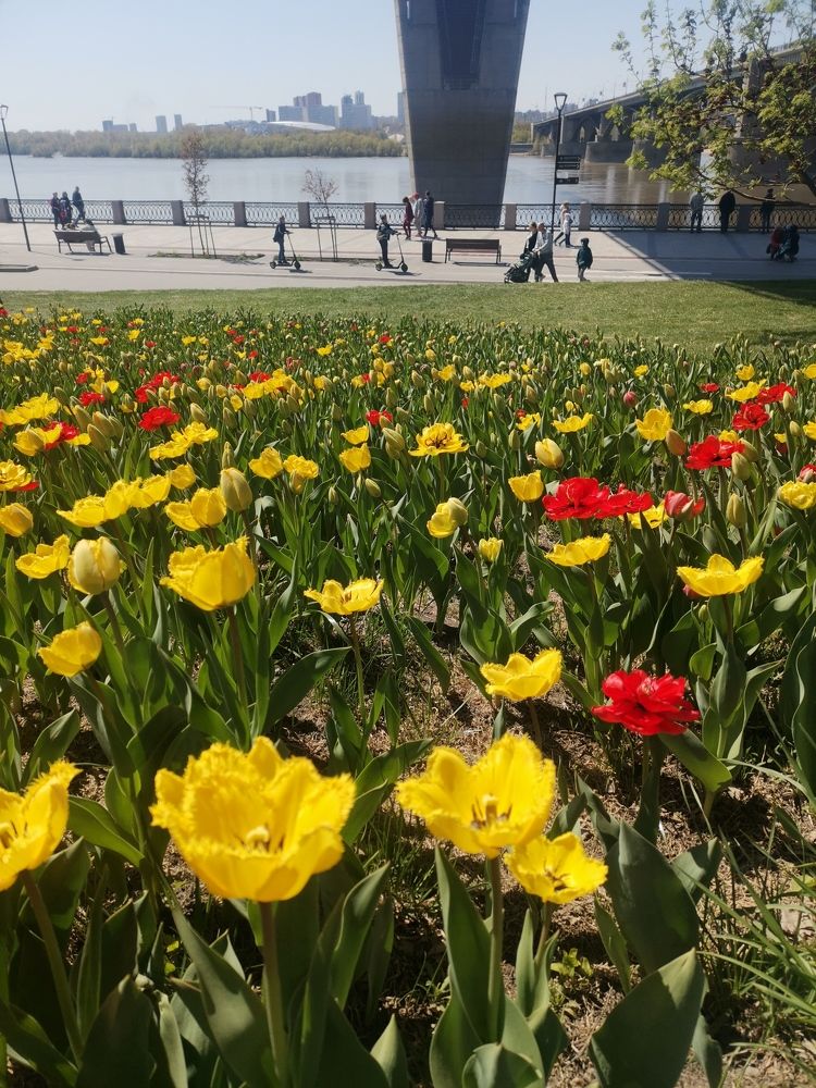 Photograph by Rina Казакова