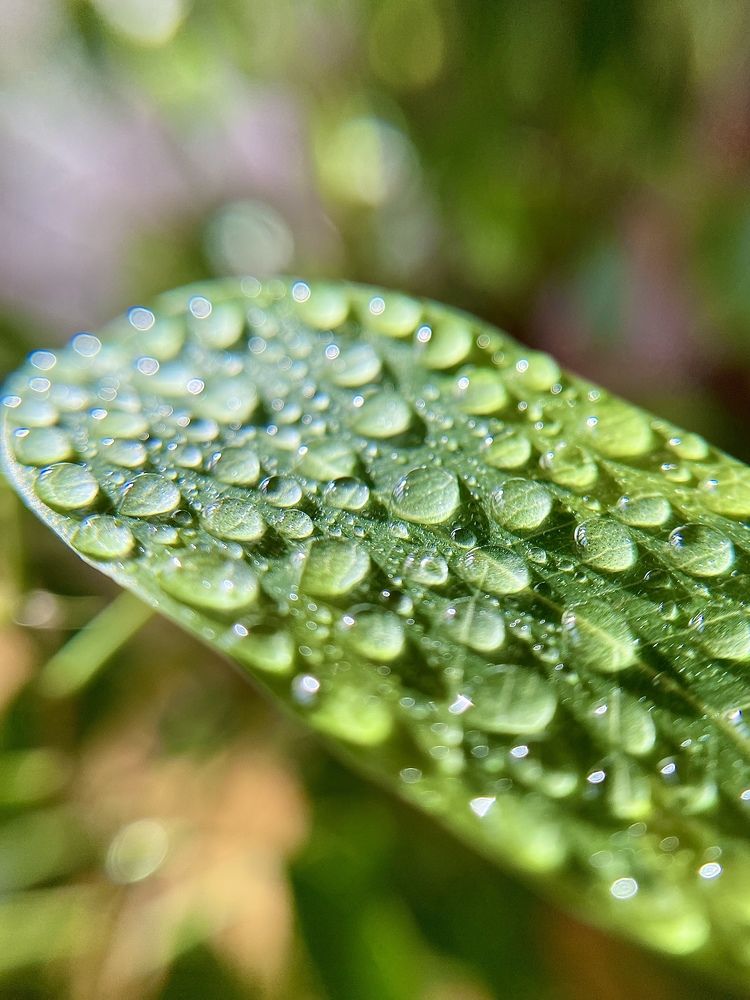 Photograph by Людмила Бурьян