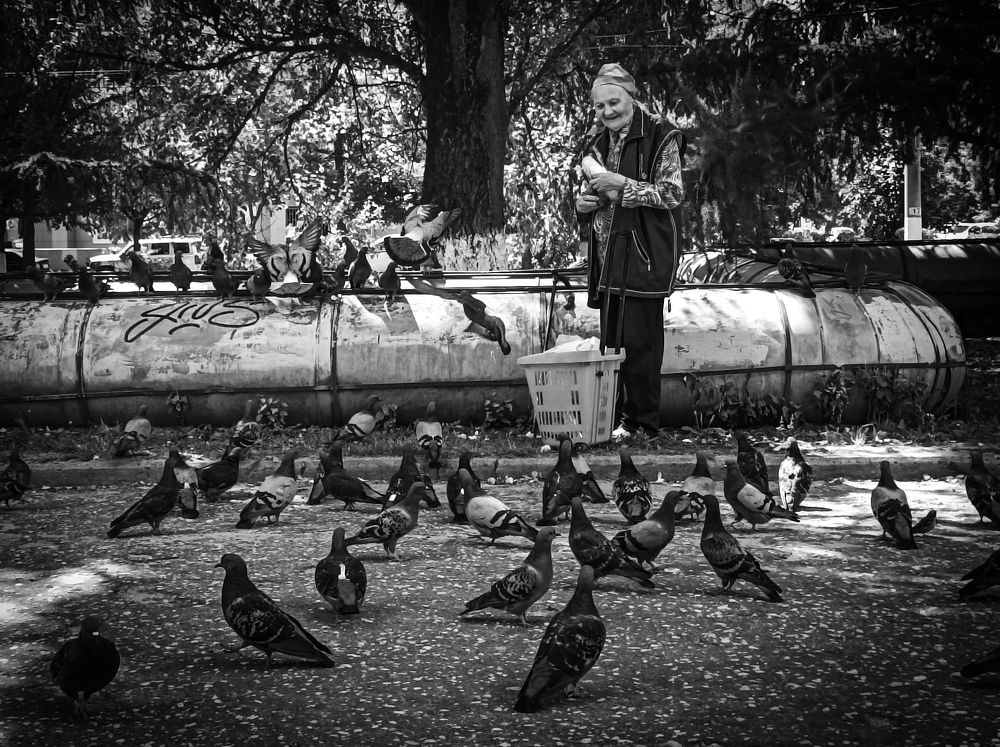 Photograph by Алексей Попов