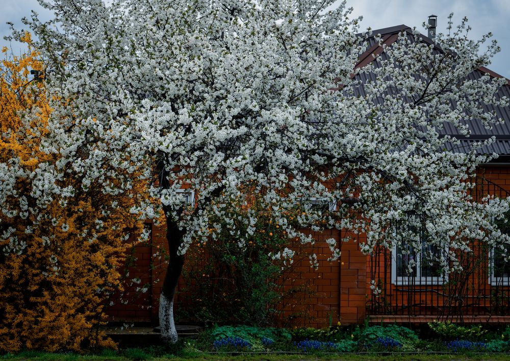 Photograph by Владимир Кваша