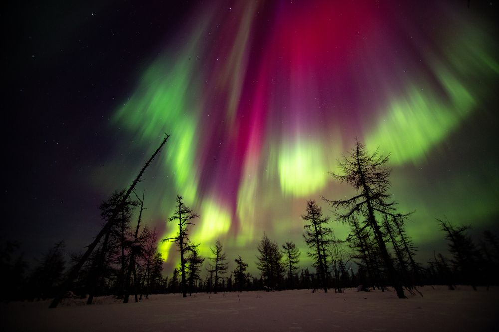 Photograph by Денис