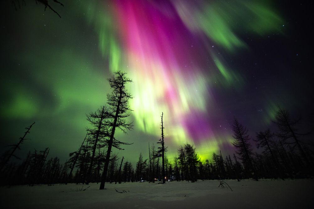 Photograph by Денис