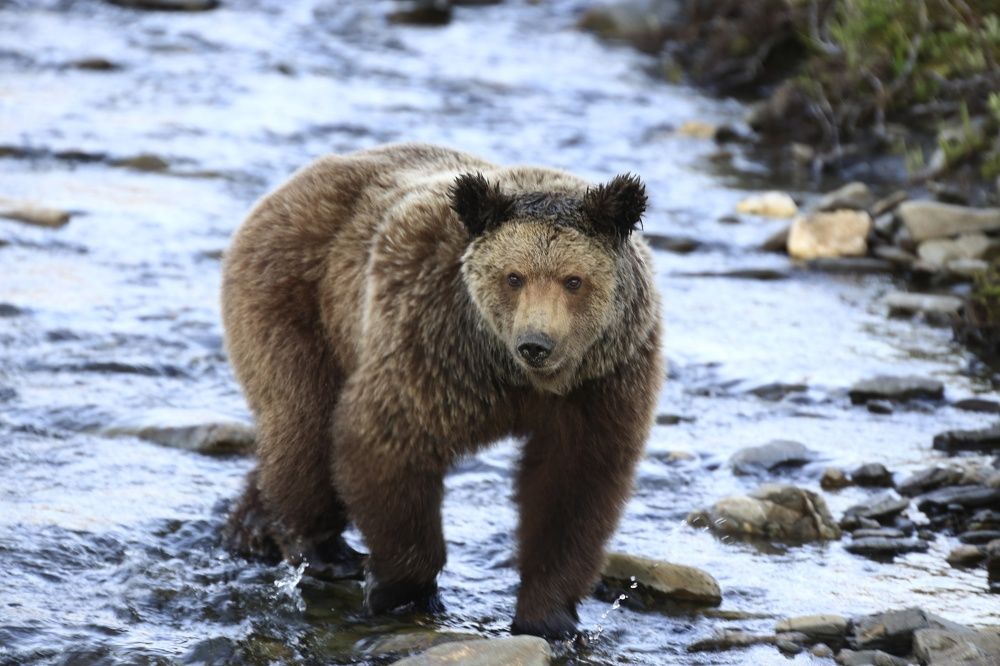 Photograph by Денис