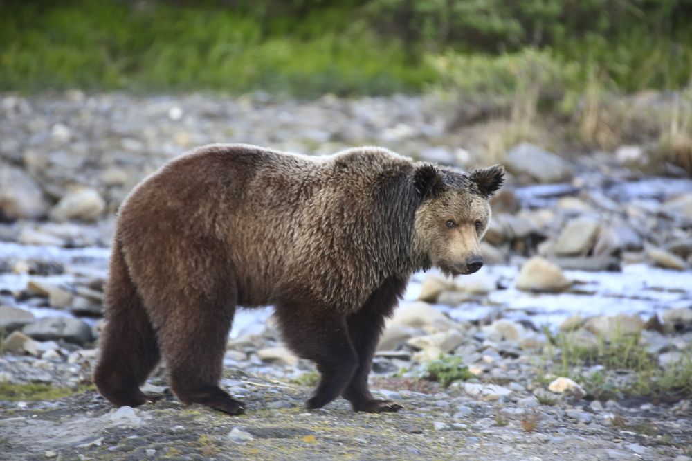 Photograph by Денис