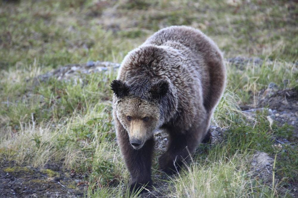 Photograph by Денис