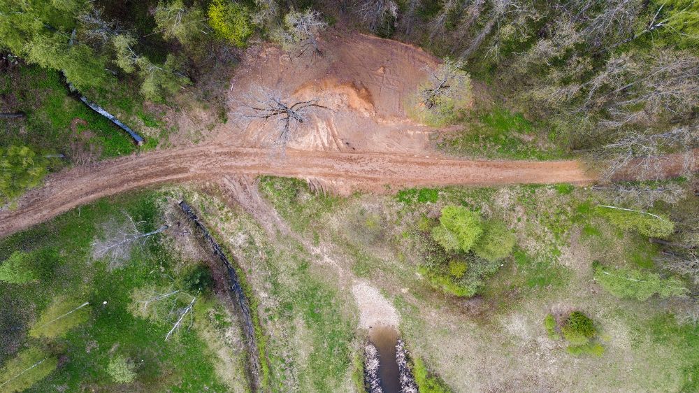 the road in the forest