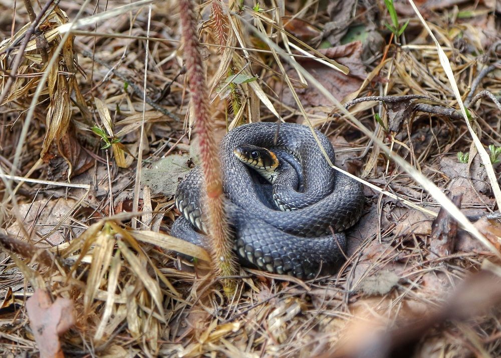 Photograph by Мария Андреева