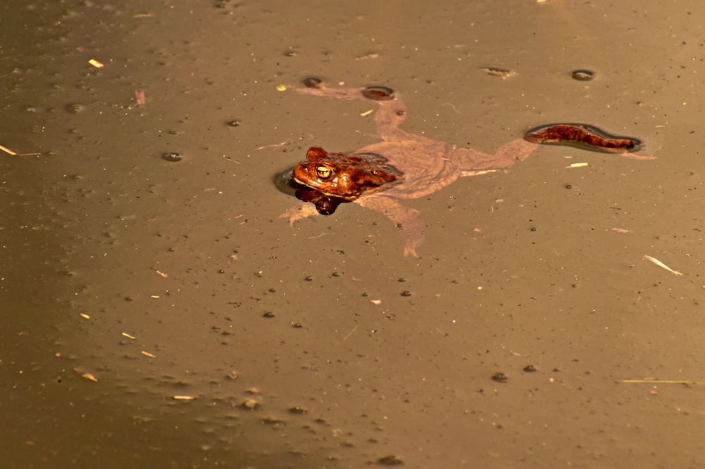 Photograph by Валерий Талейко