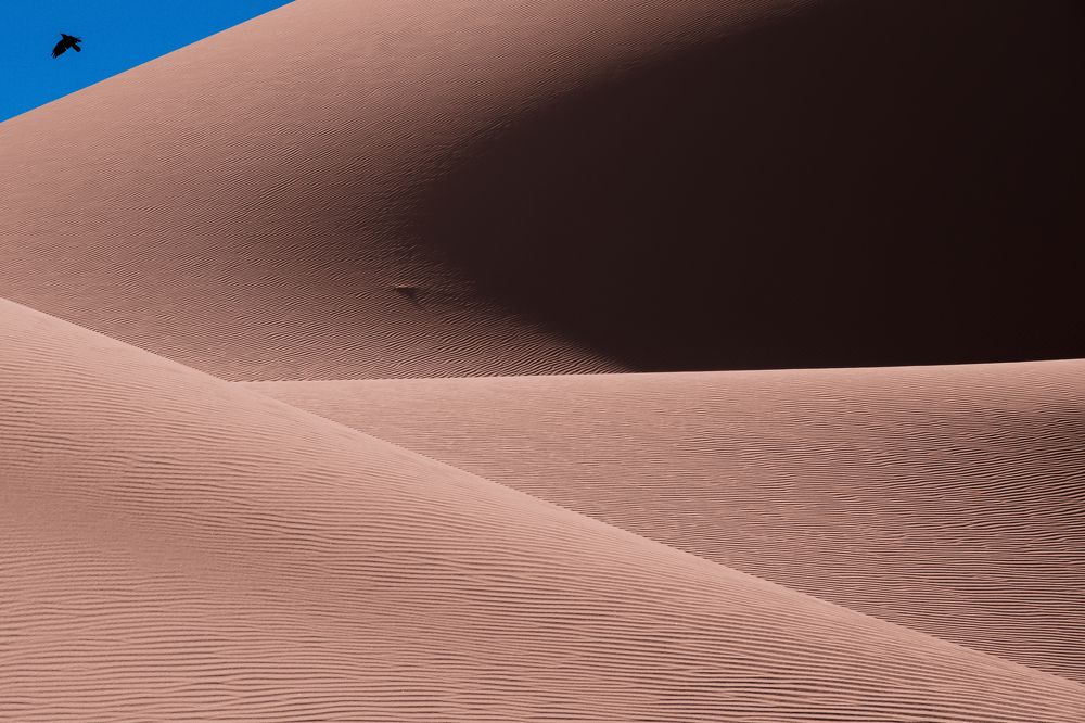 Photograph by Soroush Reza