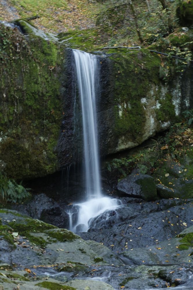 Photograph by Hadi hadipour