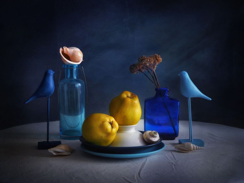 Фотография автора Vera Eremeeva