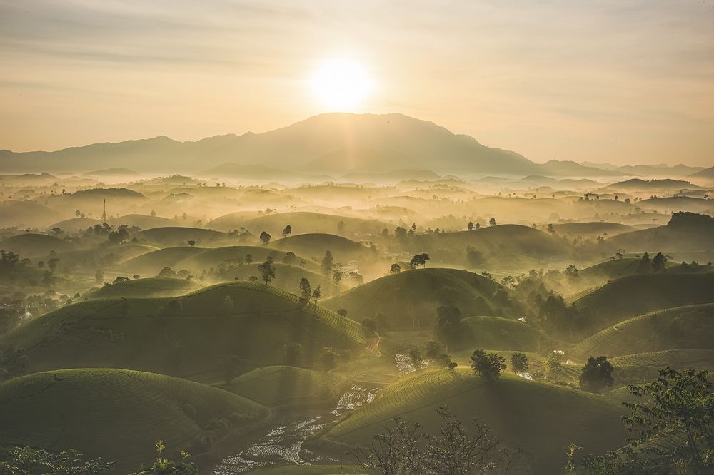 Photograph by CHU HUU LAC