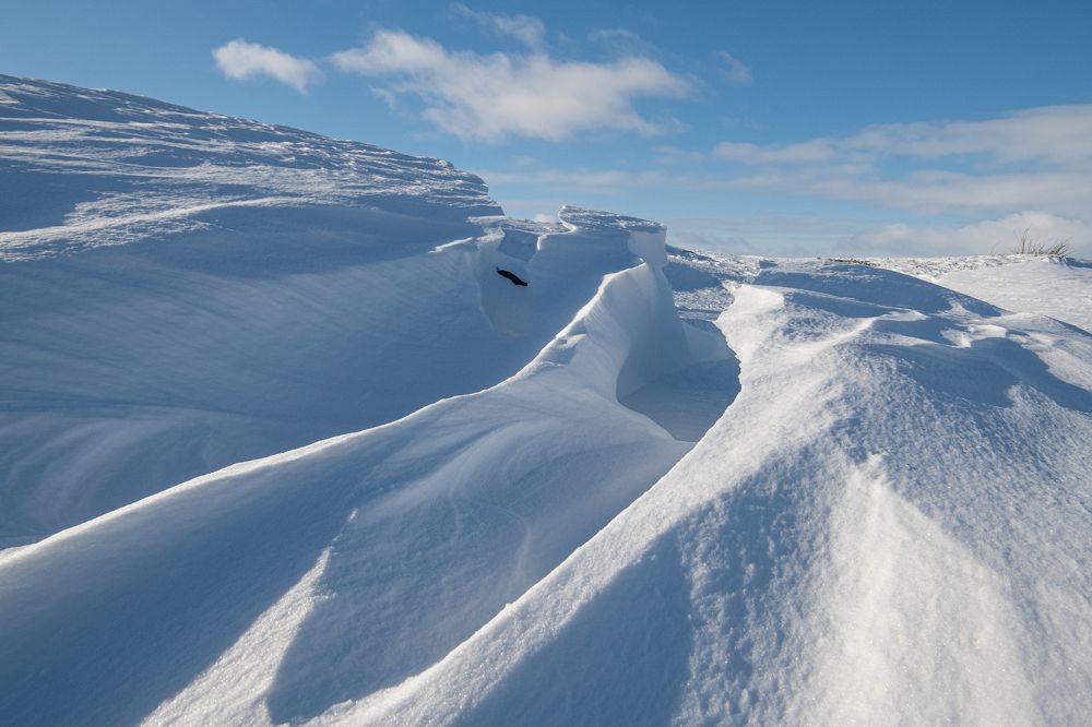 Photograph by Юрий Платухин