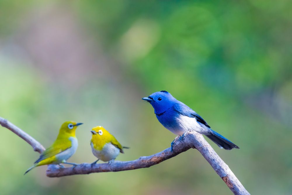 Photograph by piyush mahajan