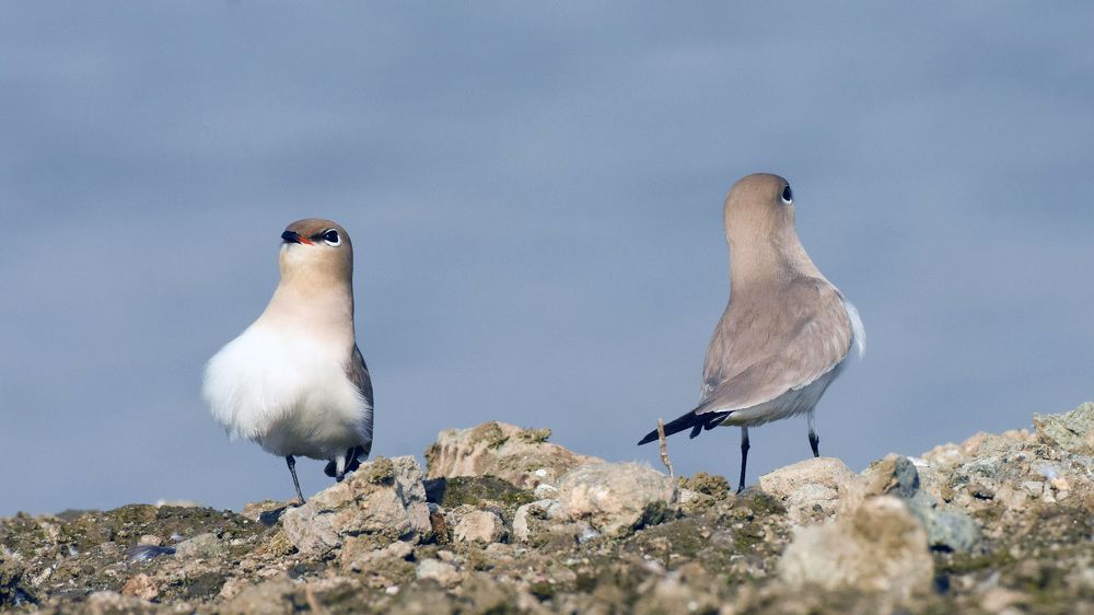 Photograph by Piyush Mahajan