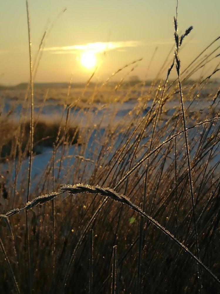 Photograph by Шевченко Алексей