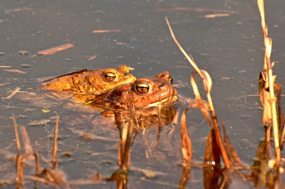 Photograph by Валерий Талейко
