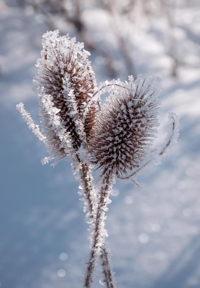 Photograph by Шевченко Алексей