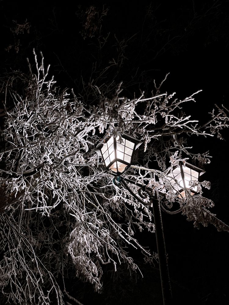 Photograph by Анна Федотова