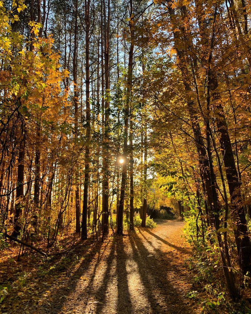 Photograph by Инна