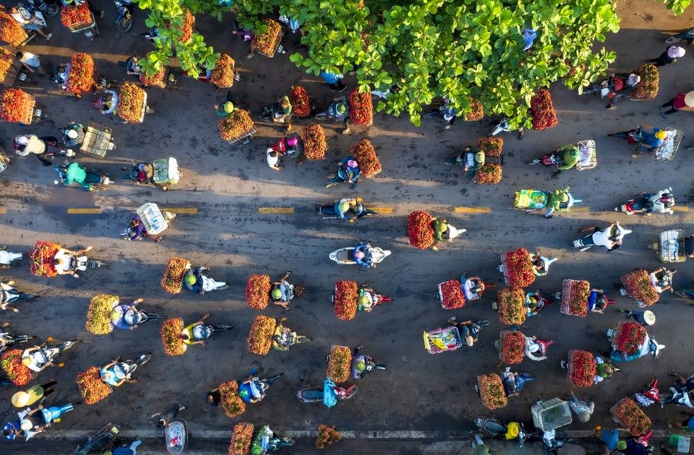 Photograph by Hong Nguyen