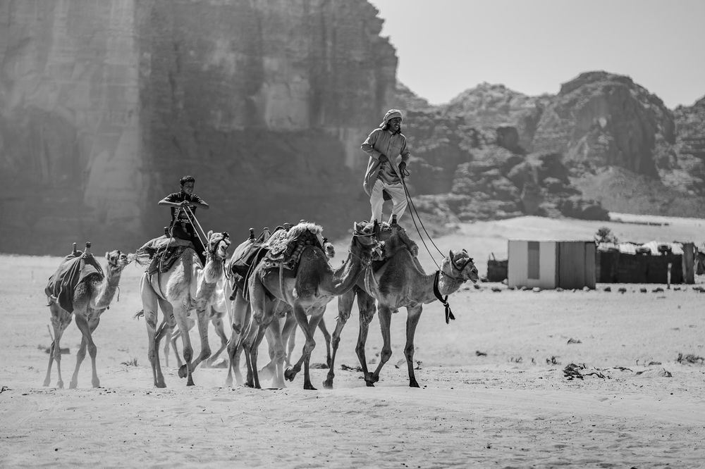 Фотография автора Александър Александров