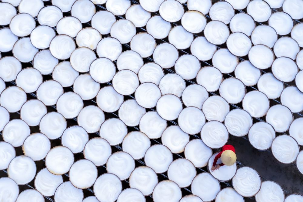 Photograph by Hong Nguyen