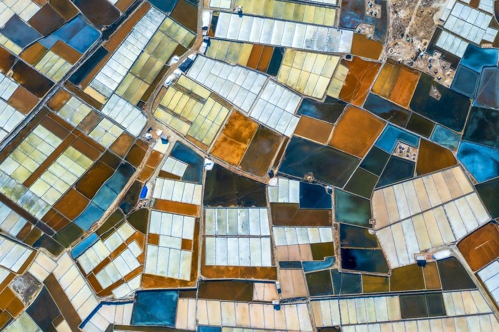 Photograph by Hong Nguyen