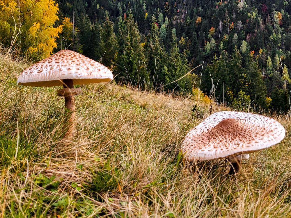 Photograph by Diana-Alexandra Amărinei