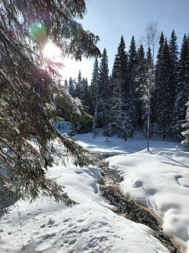 Photograph by Андрей Нурулин