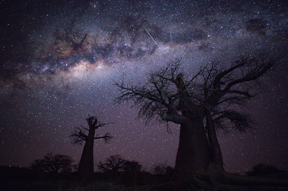 Photograph by Boris Konovalov