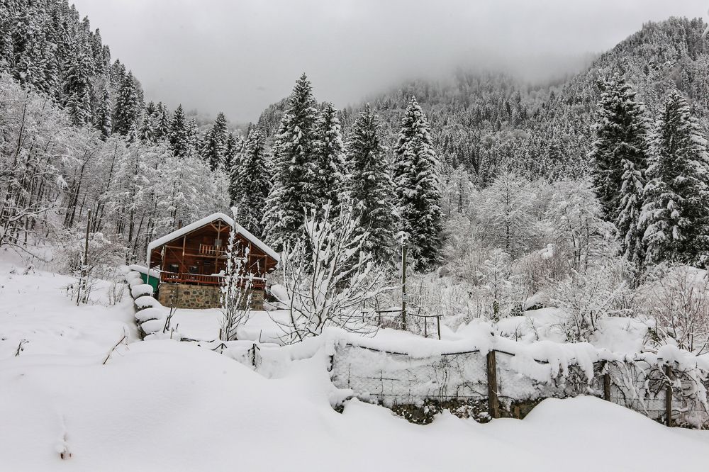 Photograph by Reis Turan