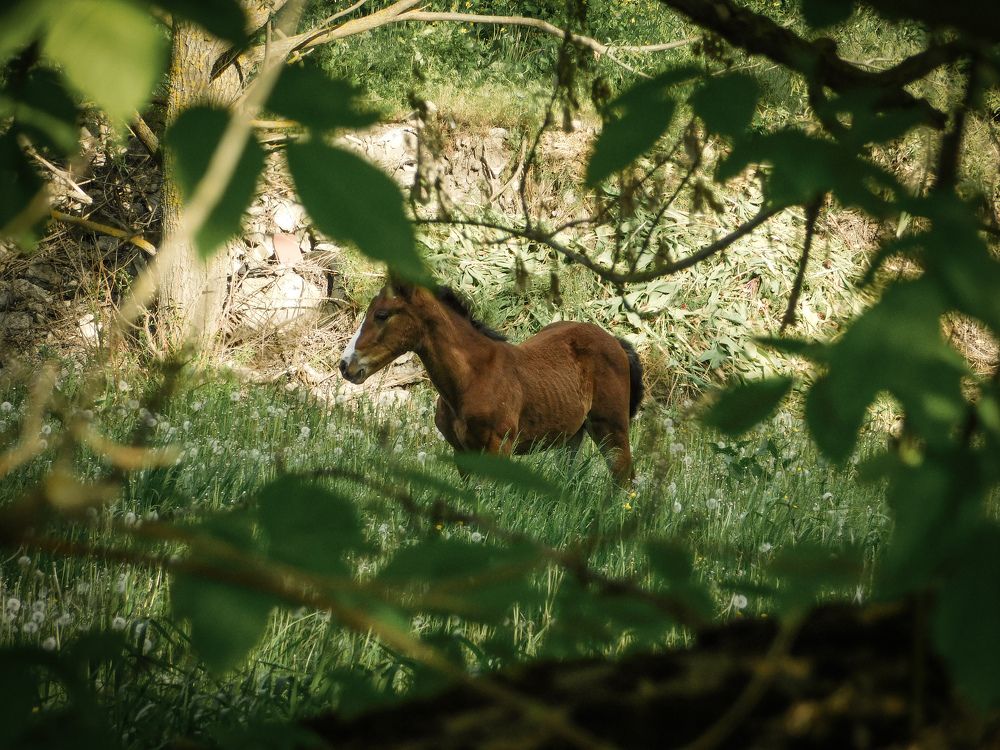 Photograph by Юлия Закопайло