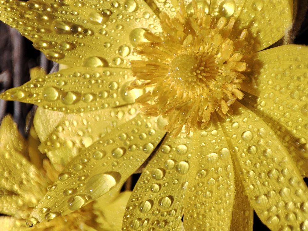 Photograph by Юлия Гинтер